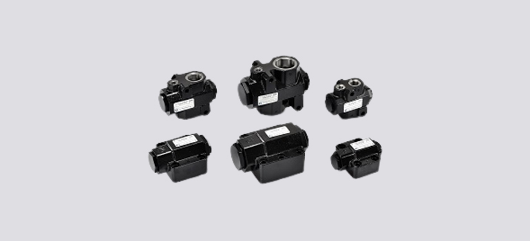 Check Valves